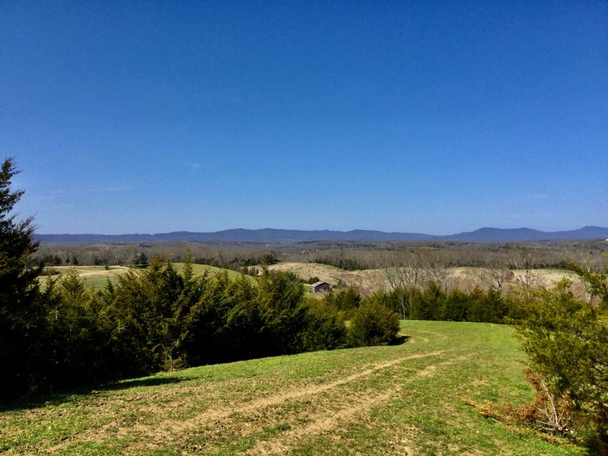 Photo #11: 627 & 681 Grassy Creek Road