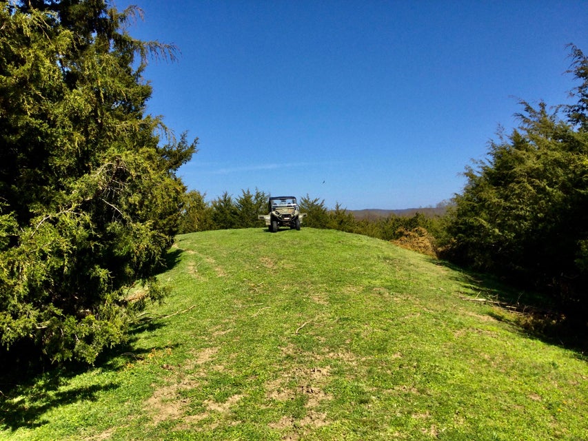 Photo #12: 627 & 681 Grassy Creek Road