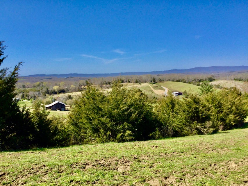 Photo #14: 627 & 681 Grassy Creek Road