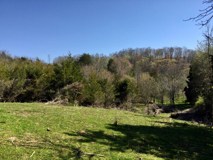 Photo #16: 627 & 681 Grassy Creek Road