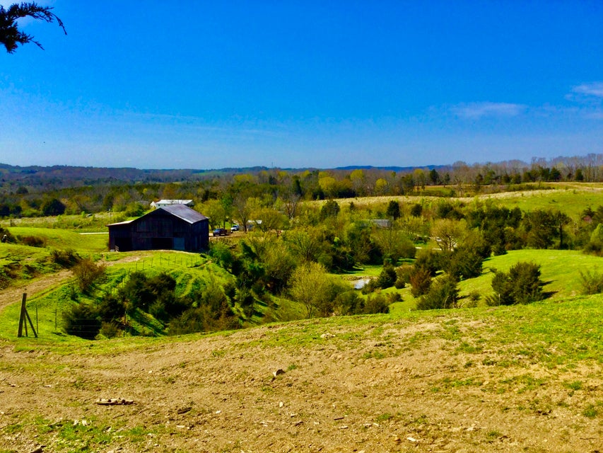 Photo #18: 627 & 681 Grassy Creek Road