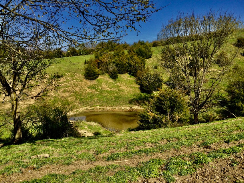 Photo #19: 627 & 681 Grassy Creek Road