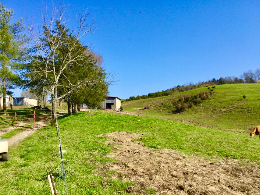Photo #31: 627 & 681 Grassy Creek Road