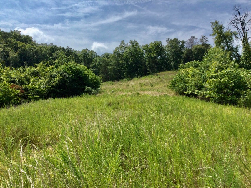 Photo #3: Tbd Emerald Pointe Boulevard