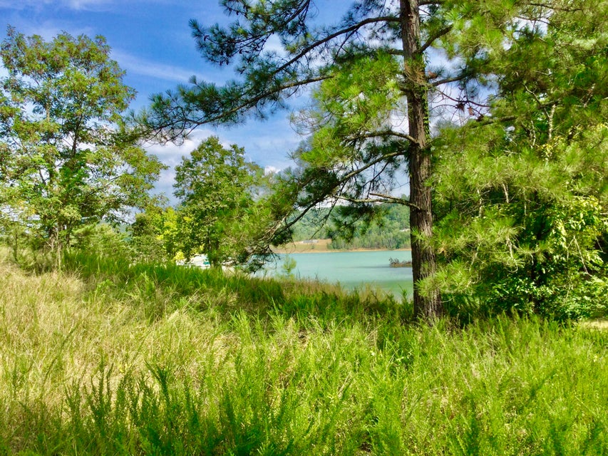 Photo #6: Tbd Emerald Pointe Boulevard