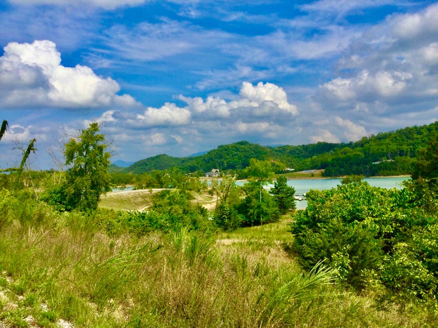 Photo #16: Tbd Emerald Pointe Boulevard
