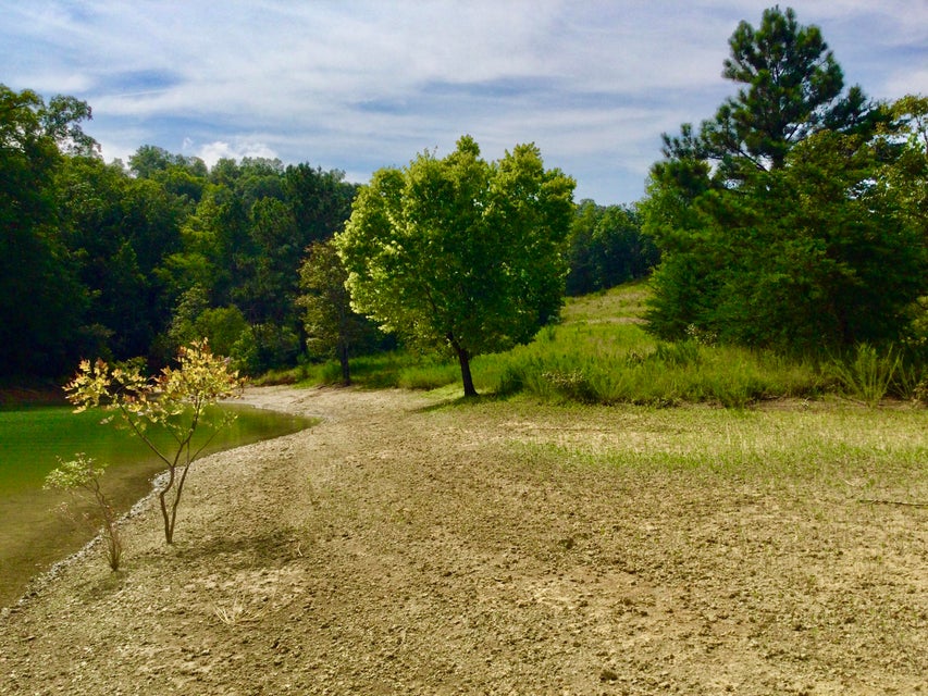 Photo #20: Tbd Emerald Pointe Boulevard