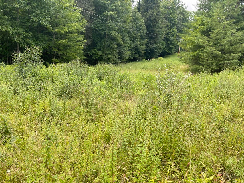 Photo #1: 000 Tanglewood Drive