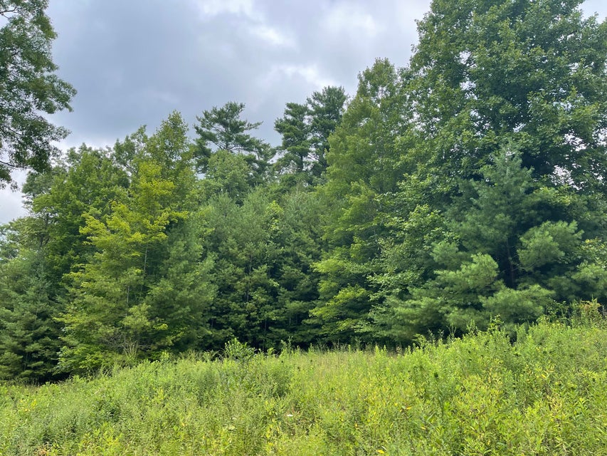 Photo #2: 000 Tanglewood Drive