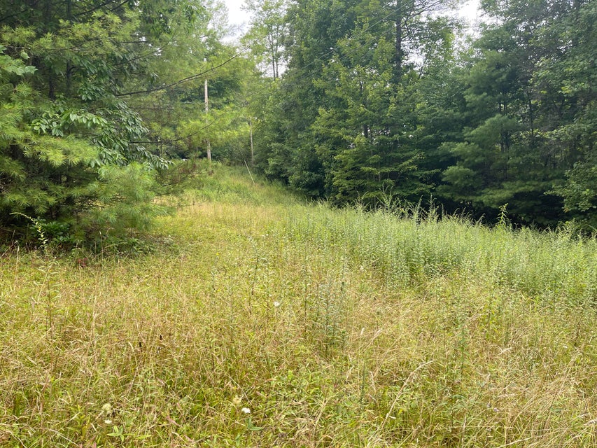 Photo #3: 000 Tanglewood Drive
