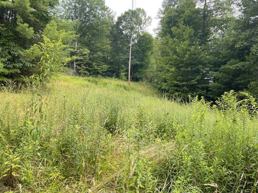 Photo #4: 000 Tanglewood Drive