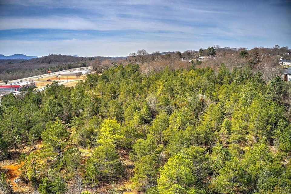 Photo #13: Tbd West Stone Drive
