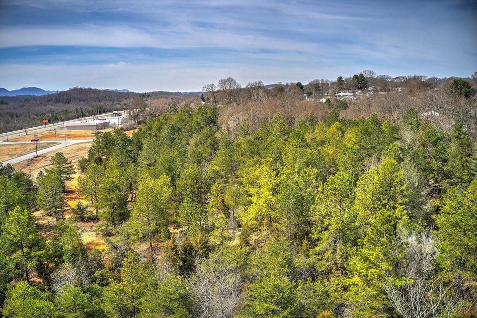 Photo #14: Tbd West Stone Drive