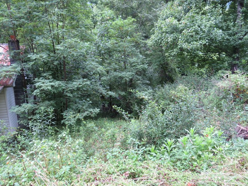Photo #5: 10403 Bold Camp Road