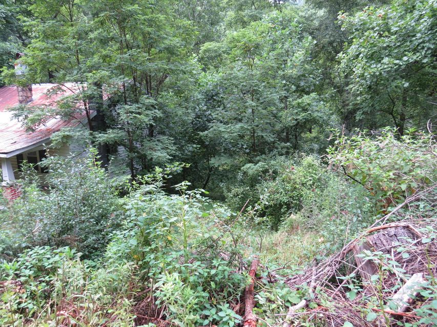 Photo #7: 10403 Bold Camp Road