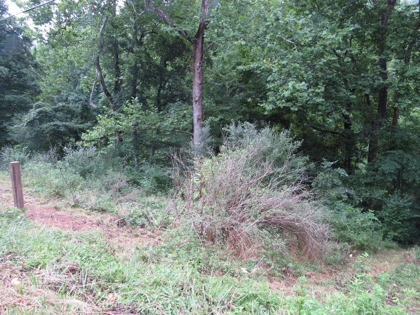 Photo #8: 10403 Bold Camp Road