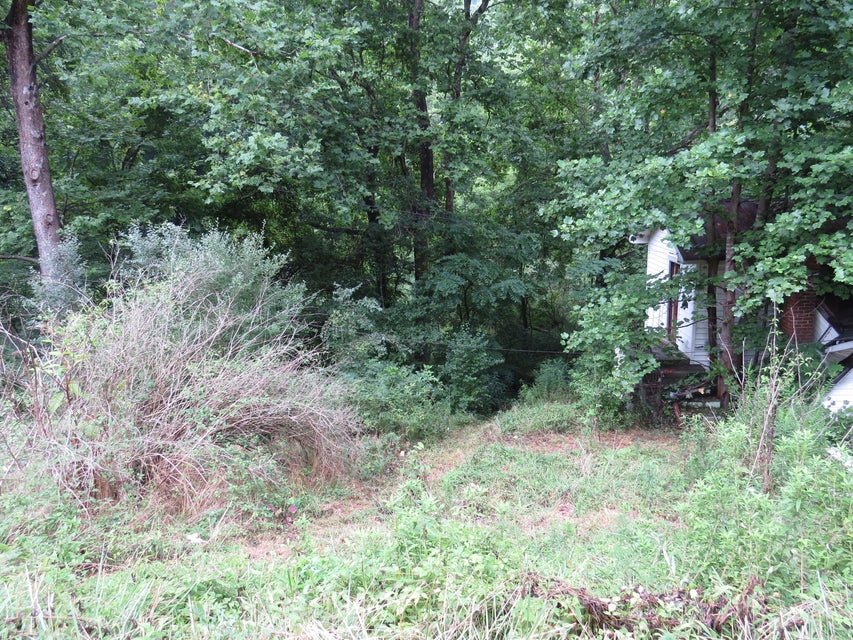 Photo #9: 10403 Bold Camp Road