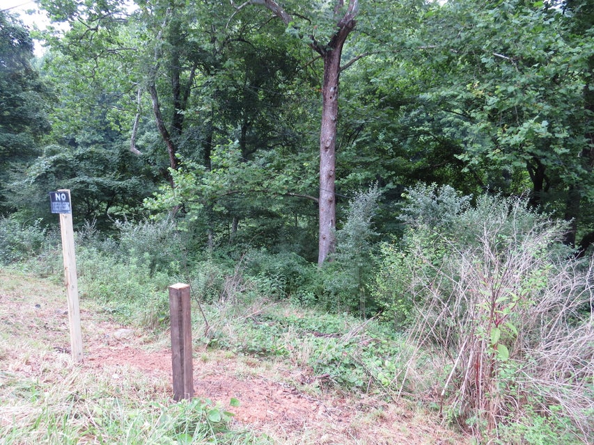 Photo #10: 10403 Bold Camp Road