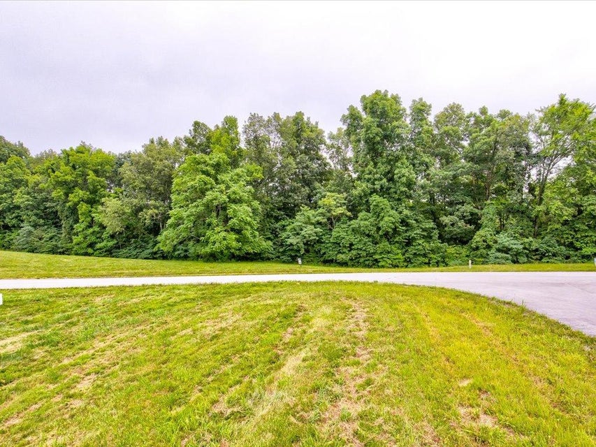Photo #8: Lot 228 Jade Lane