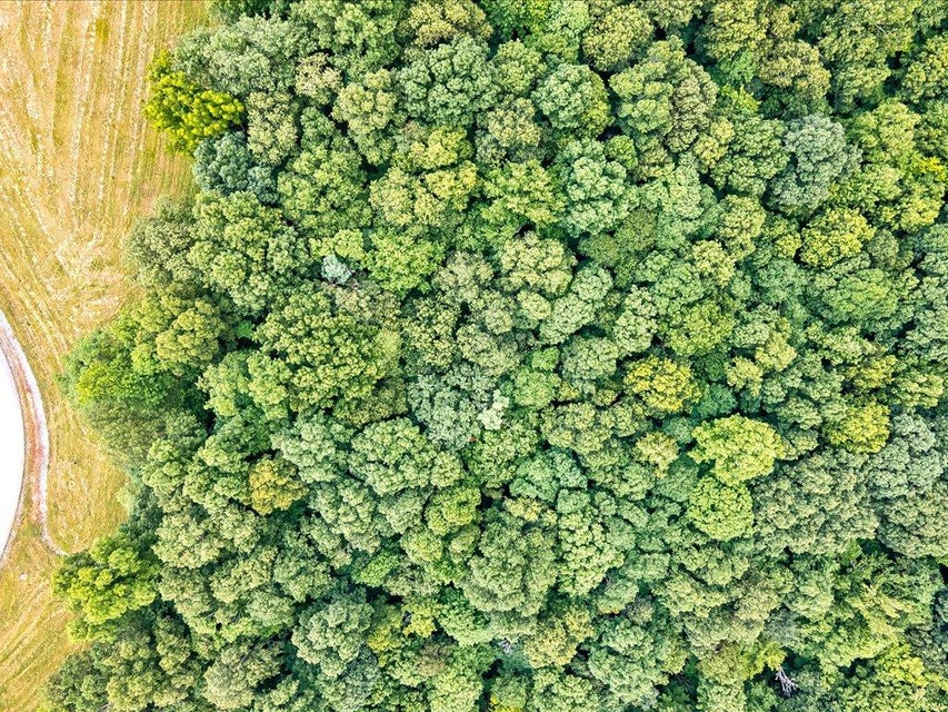 Photo #9: Lot 228 Jade Lane
