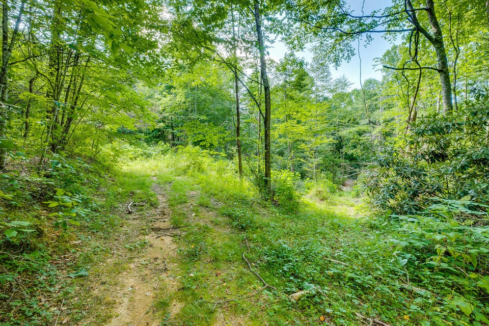 Photo #19: 136 Walnut Mountain Road