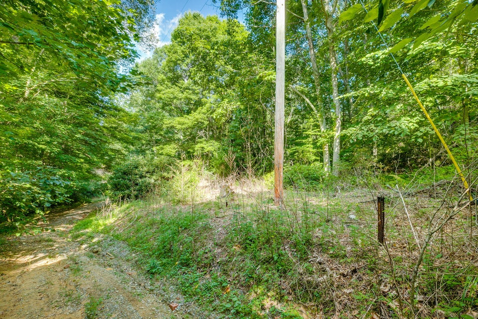 Photo #20: 136 Walnut Mountain Road