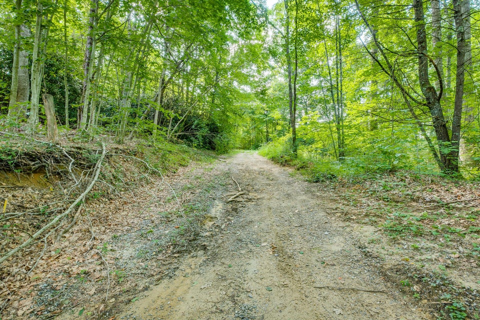 Photo #22: 136 Walnut Mountain Road