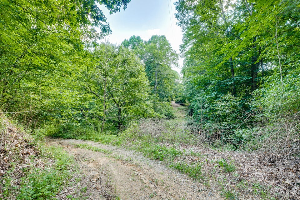 Photo #23: 136 Walnut Mountain Road