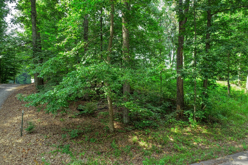 Photo #2: Lot 19 Allenwood Drive