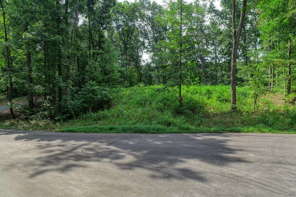 Photo #3: Lot 19 Allenwood Drive