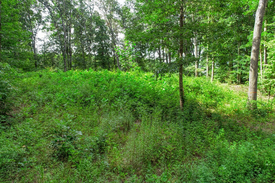 Photo #4: Lot 19 Allenwood Drive