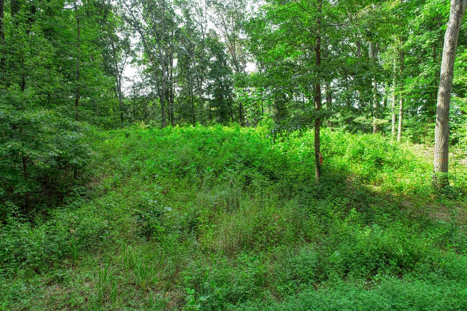 Photo #5: Lot 19 Allenwood Drive