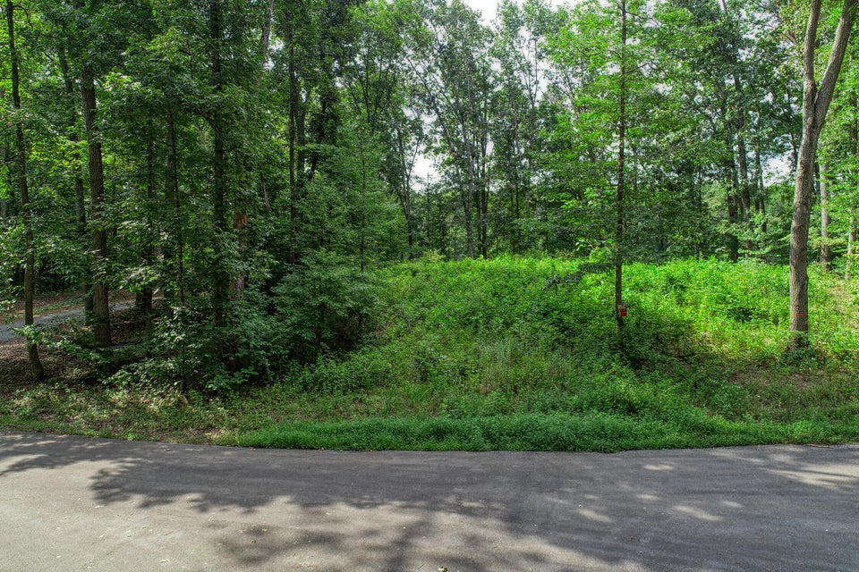 Photo #6: Lot 19 Allenwood Drive