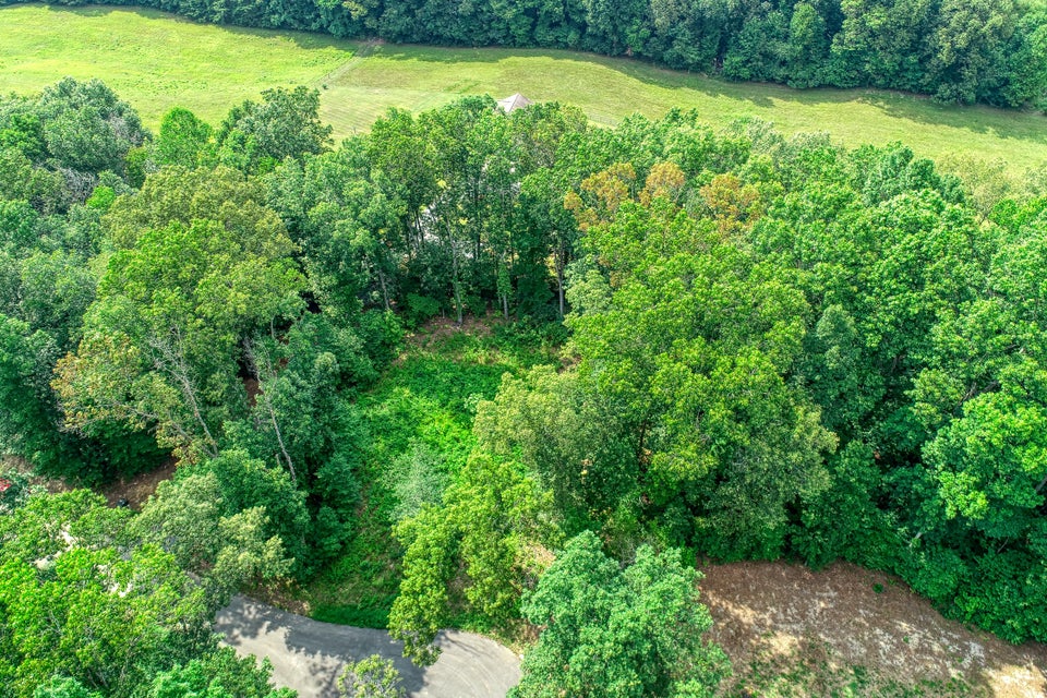 Photo #8: Lot 19 Allenwood Drive