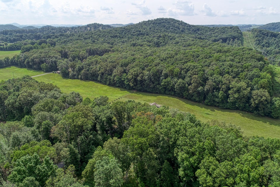 Photo #13: Lot 19 Allenwood Drive
