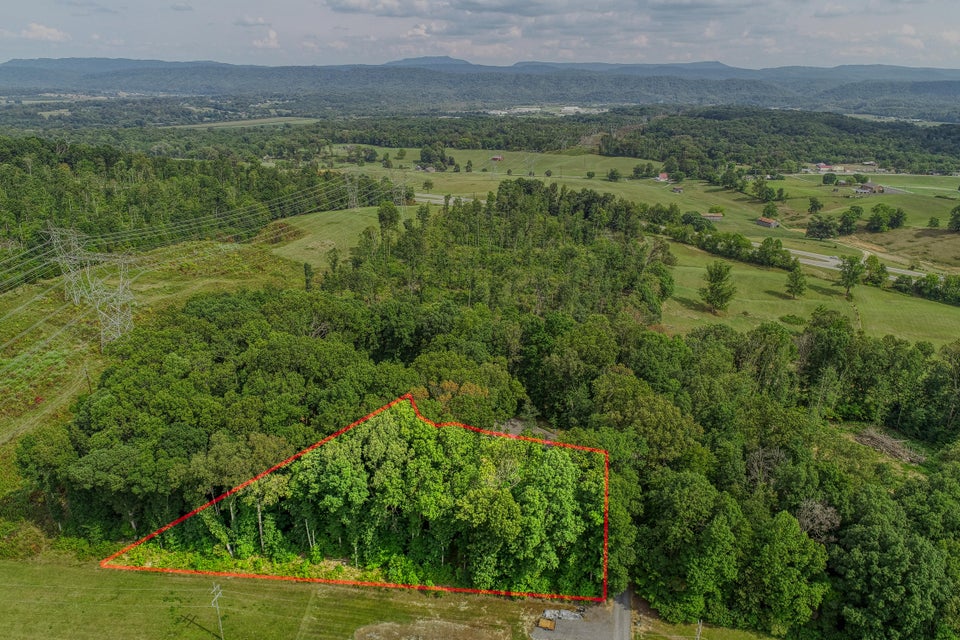 Photo #17: Lot 19 Allenwood Drive