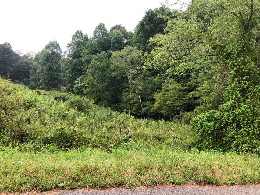 Photo #3: Tbd Carter Cave Rd