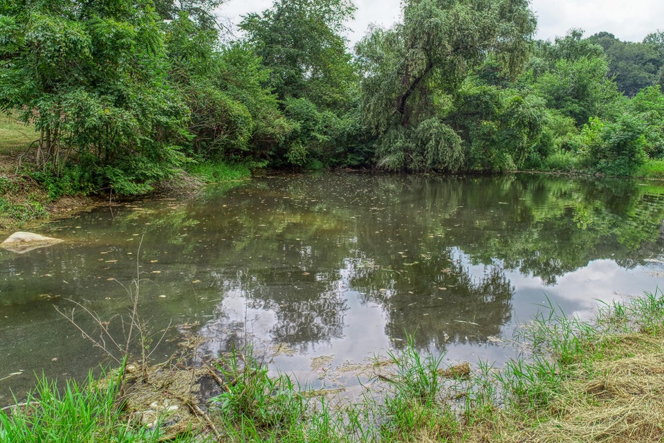 Photo #36: 532 Burem Road