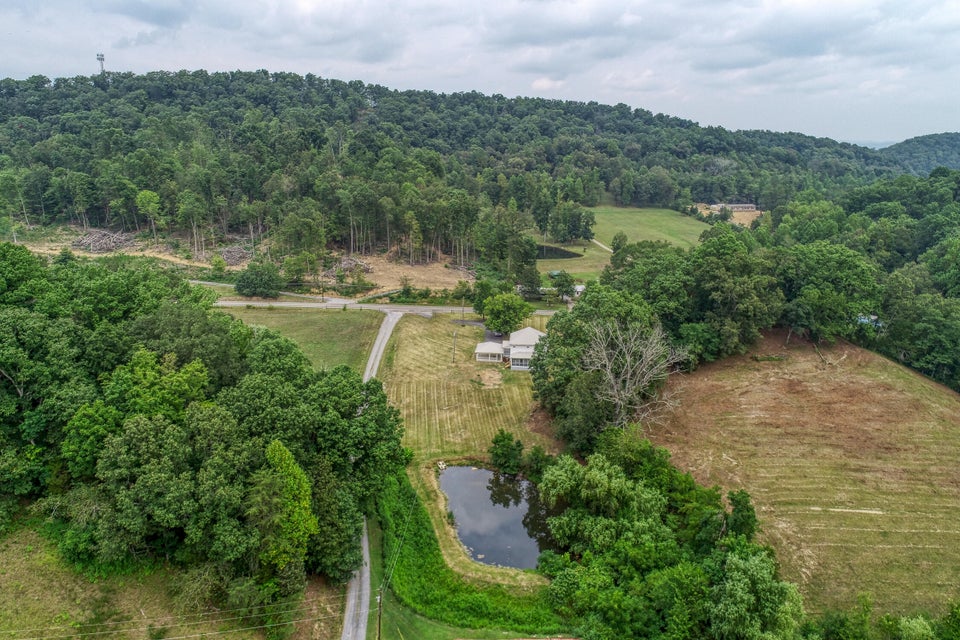 Photo #40: 532 Burem Road