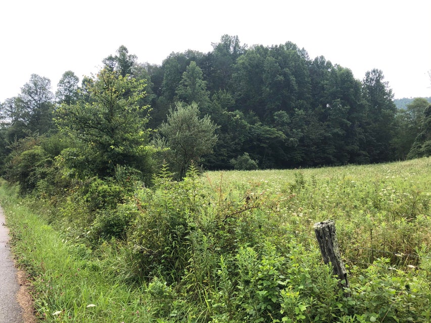 Photo #4: Tbd Carter Cave Rd