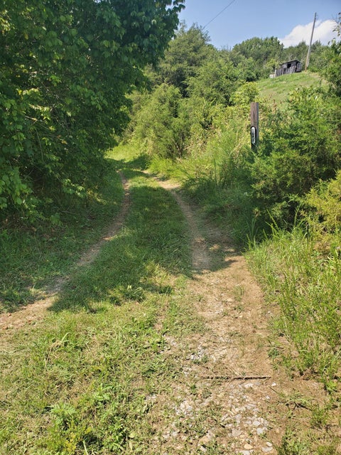 Photo #4: 1088 Rhodes Rd Road