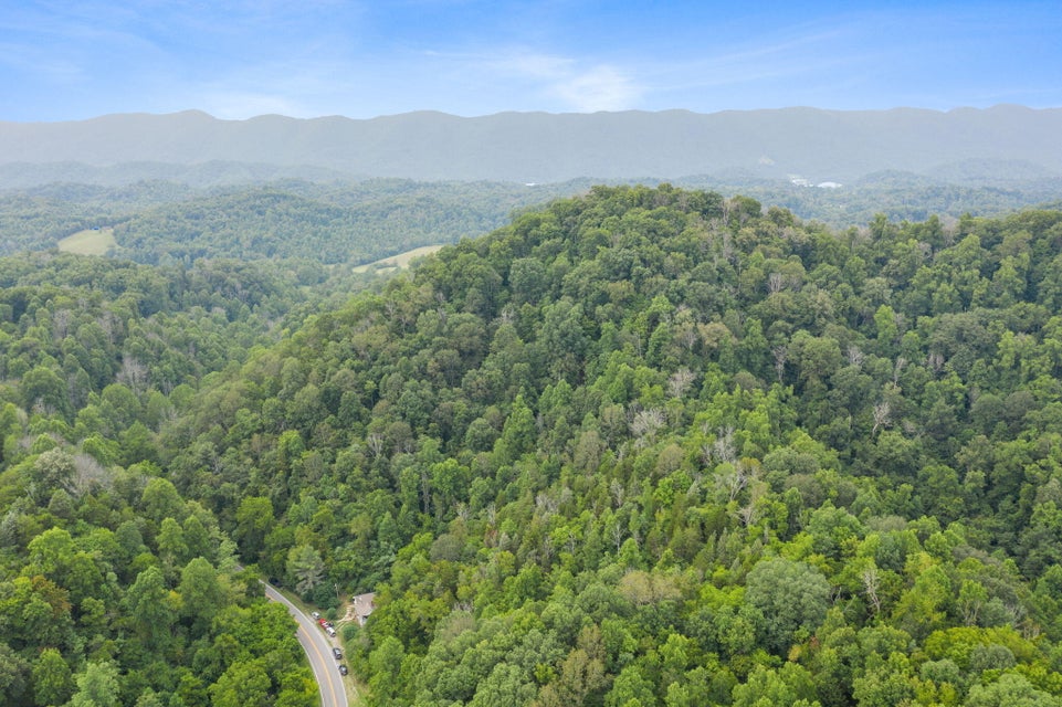 Photo #4: 14461 Bristol Hwy Highway
