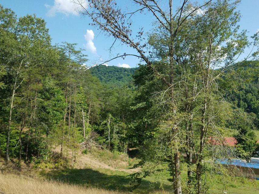 Photo #25: 1473 Tazewell Road - Off Road
