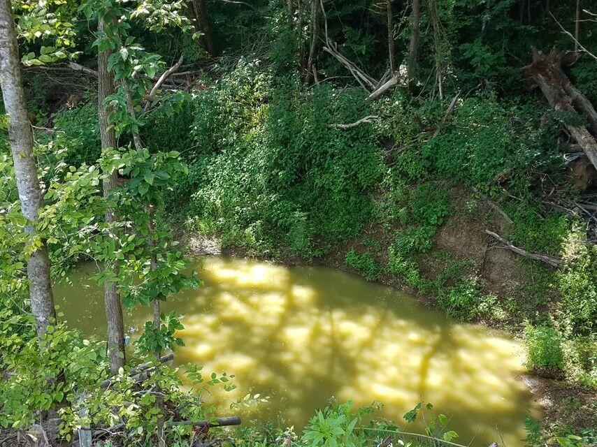 Photo #26: 1473 Tazewell Road - Off Road