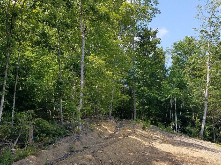 Photo #27: 1473 Tazewell Road - Off Road