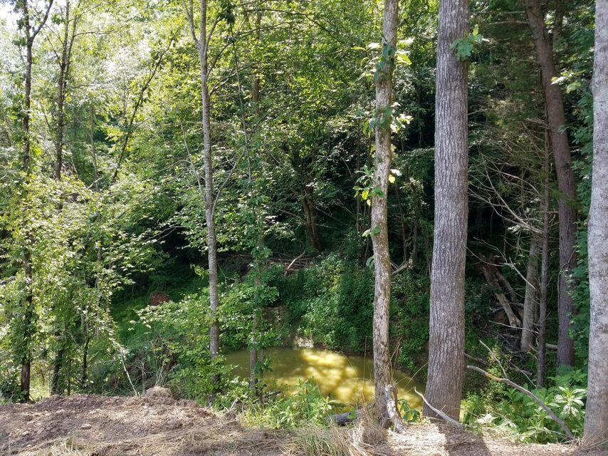 Photo #28: 1473 Tazewell Road - Off Road
