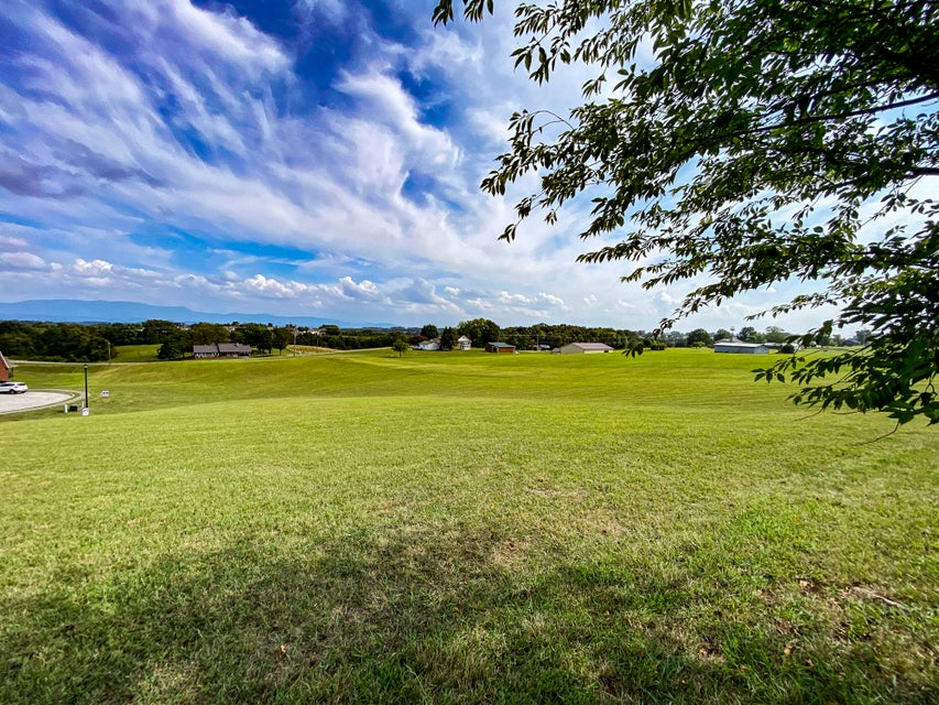 Photo #26: Lot 31 Charles Court