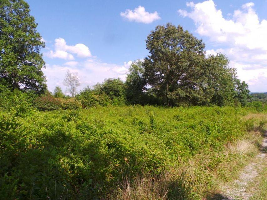 Photo #3: 270 Old Stage Road