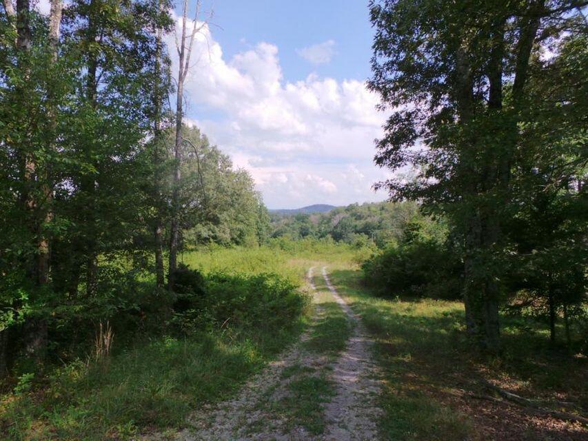 Photo #2: 270 Old Stage Road