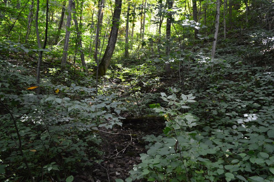 Photo #32: Tba Highway 25e